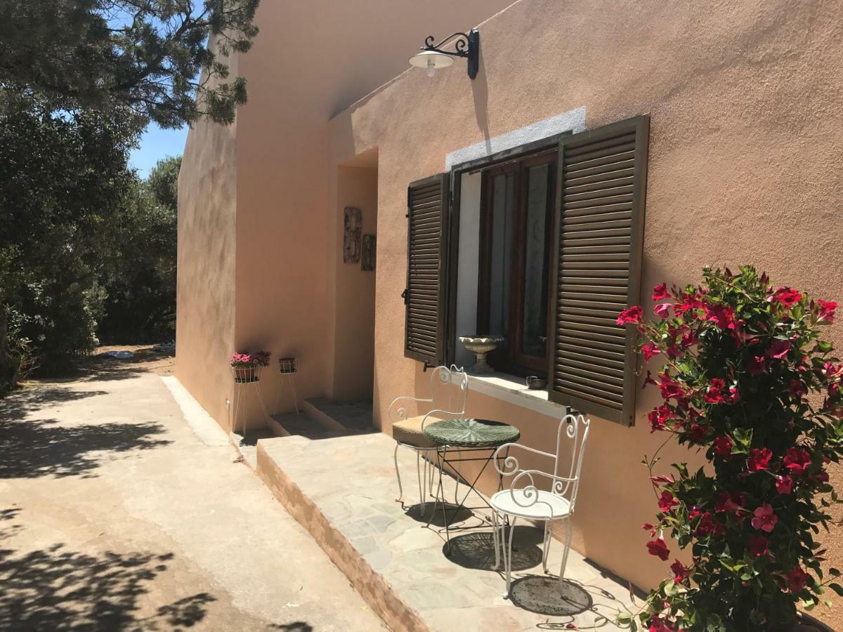 Bed and Breakfast Le 25 Tartarughe Санта-Тереза-Галлура Екстер'єр фото